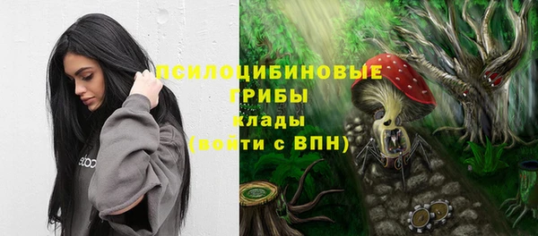mdpv Инсар