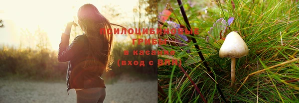 mdpv Инсар