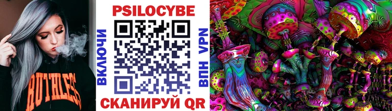 Псилоцибиновые грибы Cubensis  Каменск-Шахтинский 